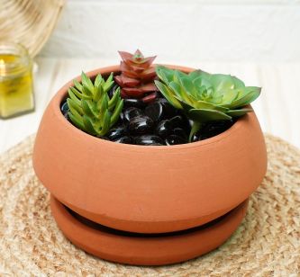 Clay Pots for Plants | Bonsai Pot | Terracotta Pots for Plants | Plants Pots | Verified Sustainable by Brown Living™