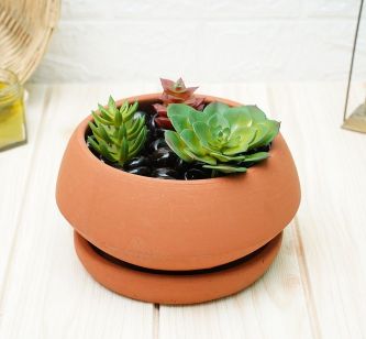 Clay Pots for Plants | Bonsai Pot | Terracotta Pots for Plants | Plants Pots | Verified Sustainable by Brown Living™