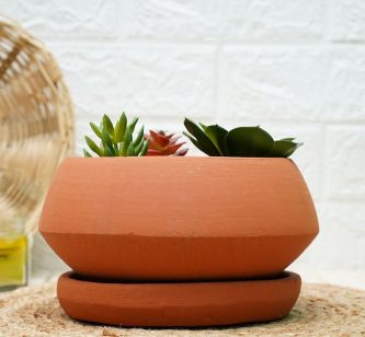 Clay Pots for Plants | Bonsai Pot | Terracotta Pots for Plants | Plants Pots | Verified Sustainable by Brown Living™