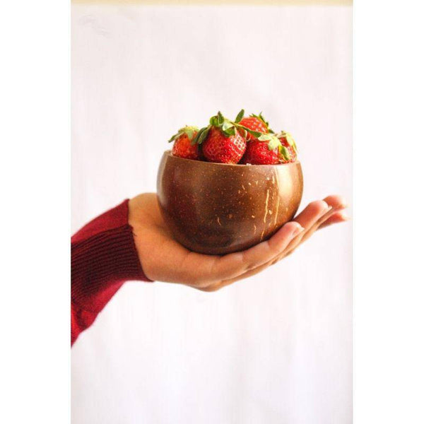 Buy Coconut Bowl 300 ml - Set of 2, Eco-friendly - Handcrafted | Shop Verified Sustainable Plates & Bowls on Brown Living™