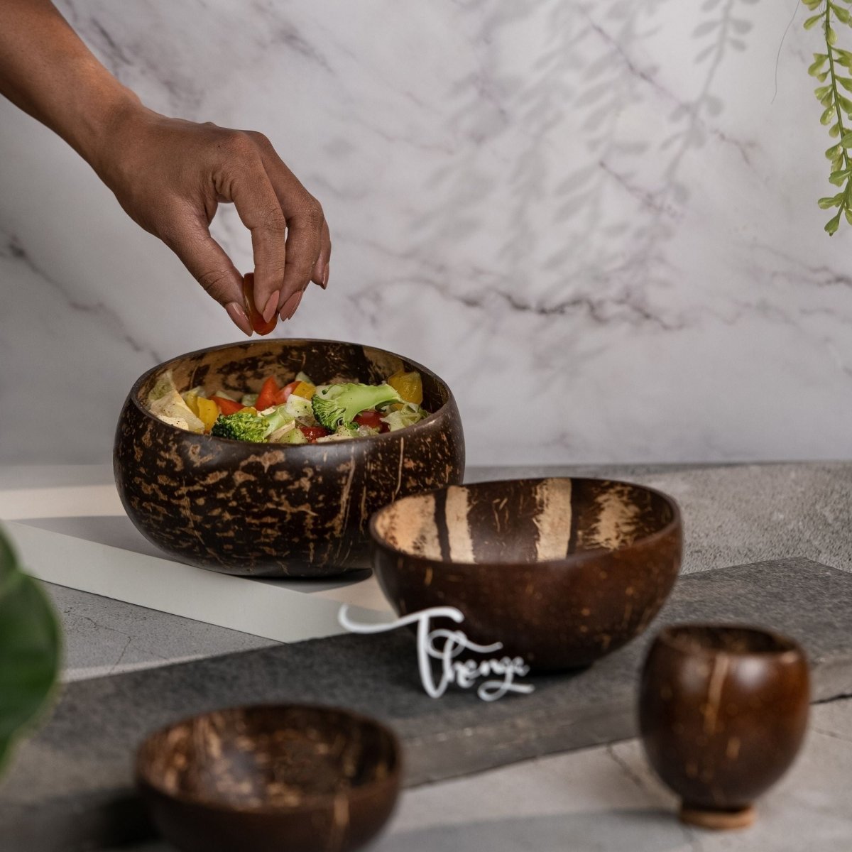 Coconut Bowl Set | Jumbo, Medium & Mini Bowl + Coconut Cup | Verified Sustainable by Brown Living™