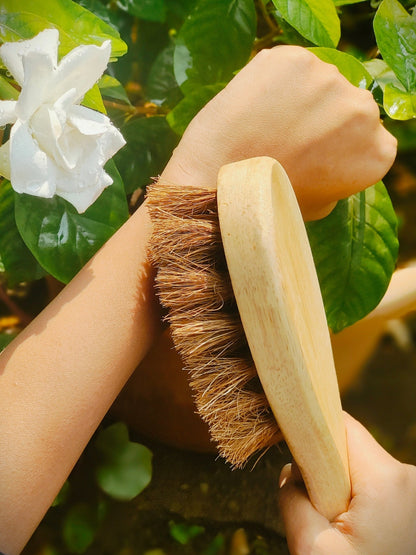 Coconut Fiber - Dry Body Brush | Verified Sustainable by Brown Living™