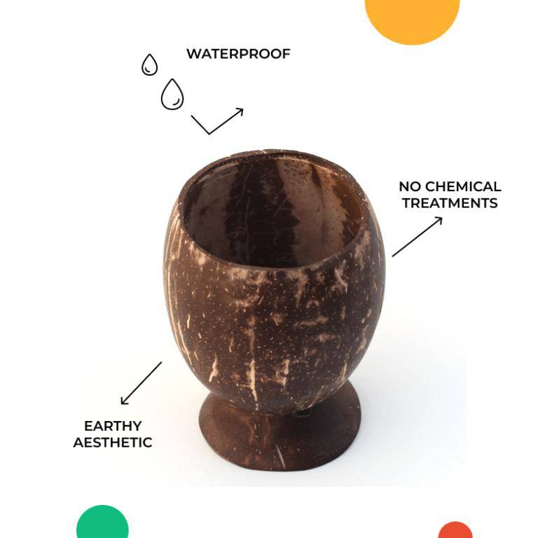 Coconut Juice Cup for Party | Set of 3 | 300 ml each | Verified Sustainable by Brown Living™