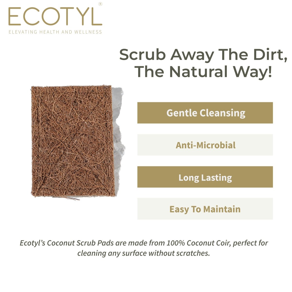 Coconut Scrub Pad - Set of 5 | Verified Sustainable by Brown Living™