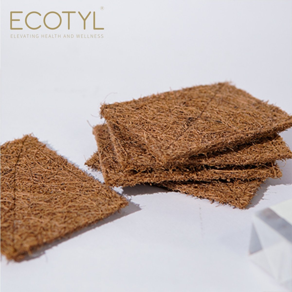 Coconut Scrub Pad - Set of 5 | Verified Sustainable by Brown Living™