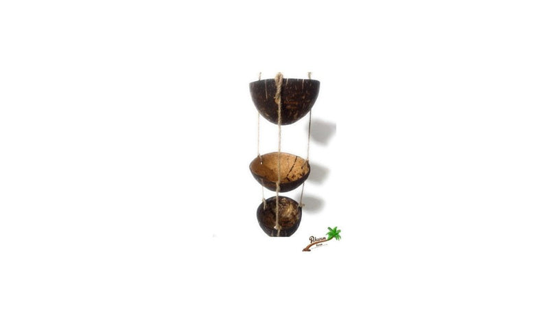 Buy Coconut shell container for ginger and garlic storage | Shop Verified Sustainable Kitchen Organisers on Brown Living™