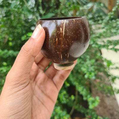 Coconut Shell Eco - friendly - Wine Glass | Set of 2 – Glasses & Tumblers on Brown Living™. SKU: 173 - 09016 - Q2 - MWO6 - FOXF. Img 1.