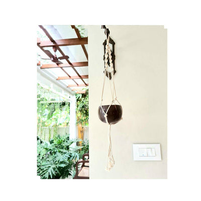 coconut plant hanger Coconut Shell Macrame Plant Hanger & Pot for Indoor & Outdoors by Thenga – Brown Living™
