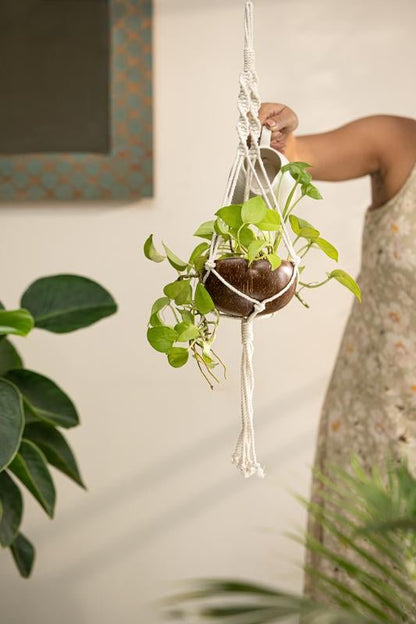 Coconut Shell Macrame Plant Hanger for Indoor & Out door | Verified Sustainable by Brown Living™