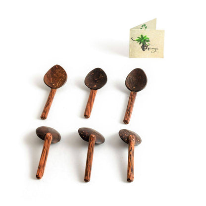 Coconut Shell Masala Spoon Set of 6 | For Small Containers | Verified Sustainable by Brown Living™