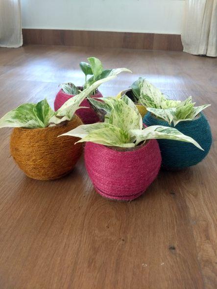 Buy Coconut Shell Planter woven with Jute thread | Shop Verified Sustainable Products on Brown Living