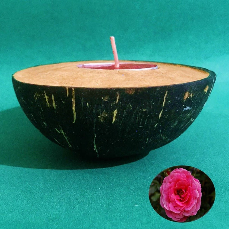 Buy Coconut shell- Terracotta Tealight Candle Holder-Rose | Shop Verified Sustainable Products on Brown Living