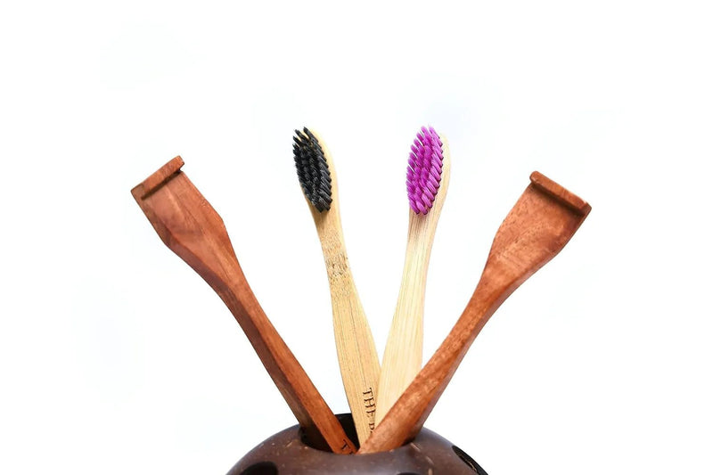 Coconut Shell Tooth Brush Stand | Verified Sustainable Bath Accessories on Brown Living™