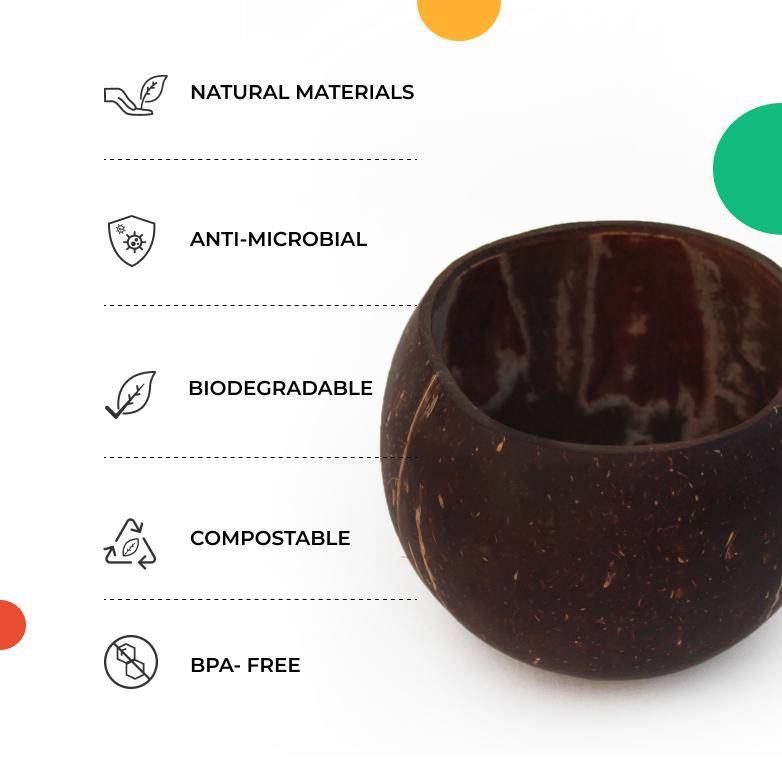 Coconut Snacking Bowl and Spoon Set | Verified Sustainable by Brown Living™