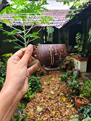 Coconut Teacup - Natural & Handmade 200 ml | Set of 2 | Verified Sustainable by Brown Living™