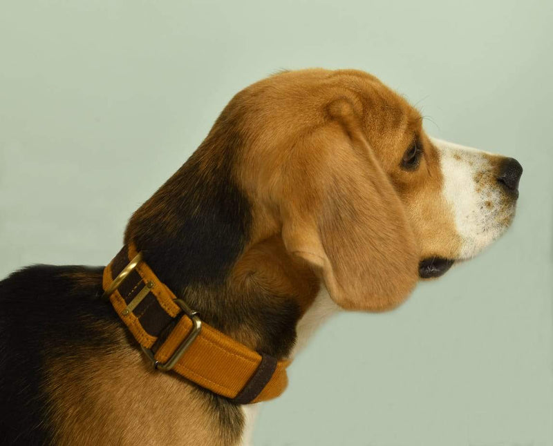 Buy Collar - Brown - for Pets | Shop Verified Sustainable Products on Brown Living