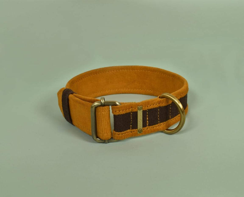 Buy Collar - Brown - for Pets | Shop Verified Sustainable Products on Brown Living