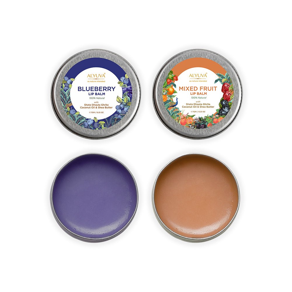 Combo of Ghee Enriched 100% Natural Blueberry & Mix Fruit Lip Balms, 7gms Each | Verified Sustainable by Brown Living™