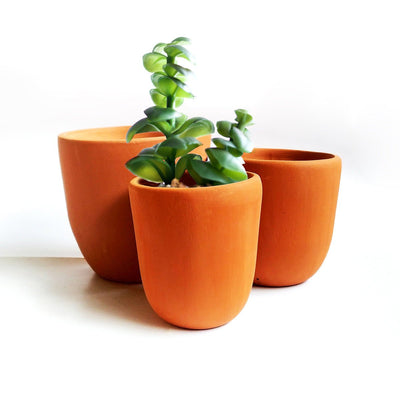 Cone Classic Terracotta Planters Set of 3 (Large,Medium,Small) – Pots & Planters on Brown Living™. SKU: PLT - CLS. Img 1.
