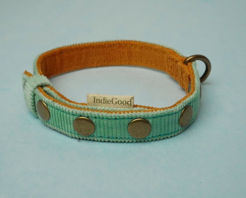 Buy Coral Collar for Cats/Puppies- Beach Blue | Shop Verified Sustainable Products on Brown Living
