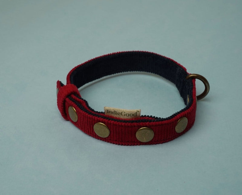 Buy Coral Collar for Cats/Puppies- Marine Red | Shop Verified Sustainable Pet Supplies on Brown Living™