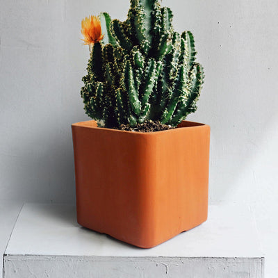 Cuboid Terracotta Planters Set of 3 (Large,Medium,Small) – Pots & Planters on Brown Living™. SKU: PLT - CBD. Img 2.