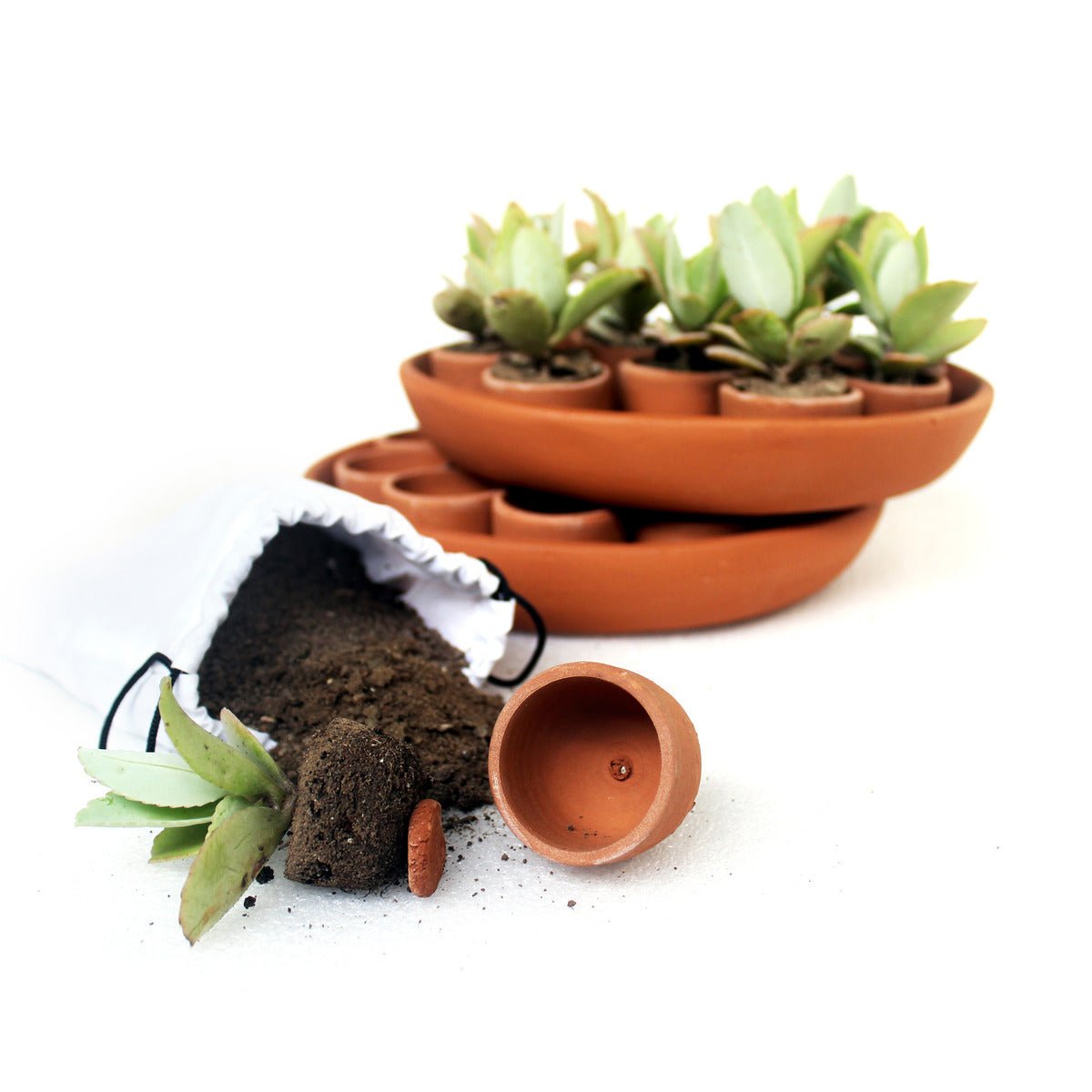 Disk Plantation Germination Kit - Set of 26 Small Pots | Verified Sustainable by Brown Living™