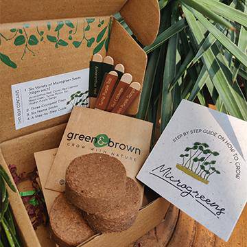 Buy DIY Microgreens Seeds Kit | Shop Verified Sustainable Seeds on Brown Living™