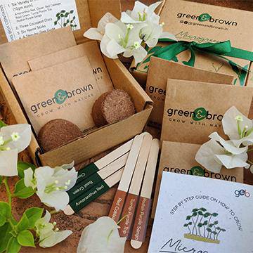 Buy DIY Microgreens Seeds Kit | Shop Verified Sustainable Seeds on Brown Living™