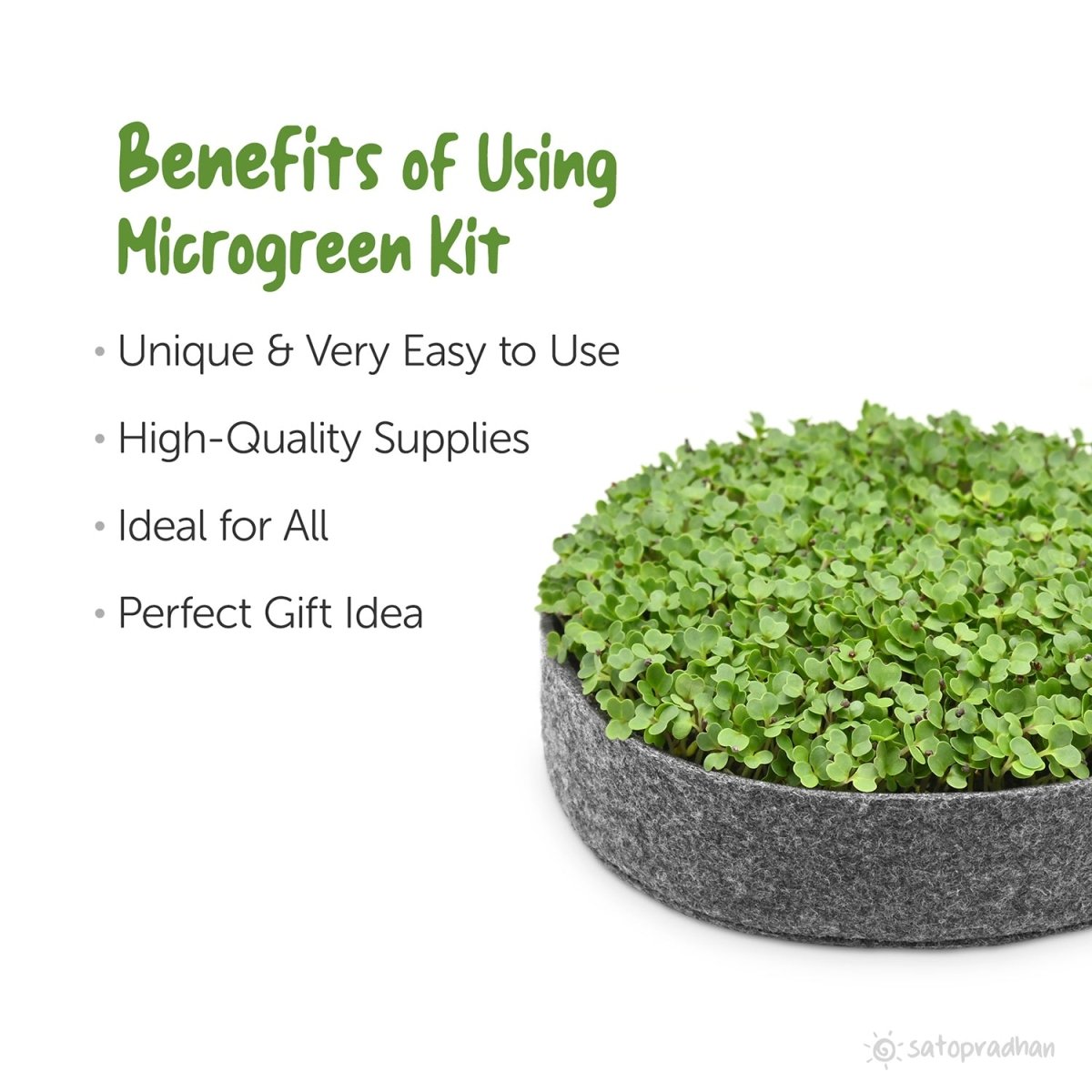 DIY Ready to Use Microgreen Growing Kit | Verified Sustainable by Brown Living™