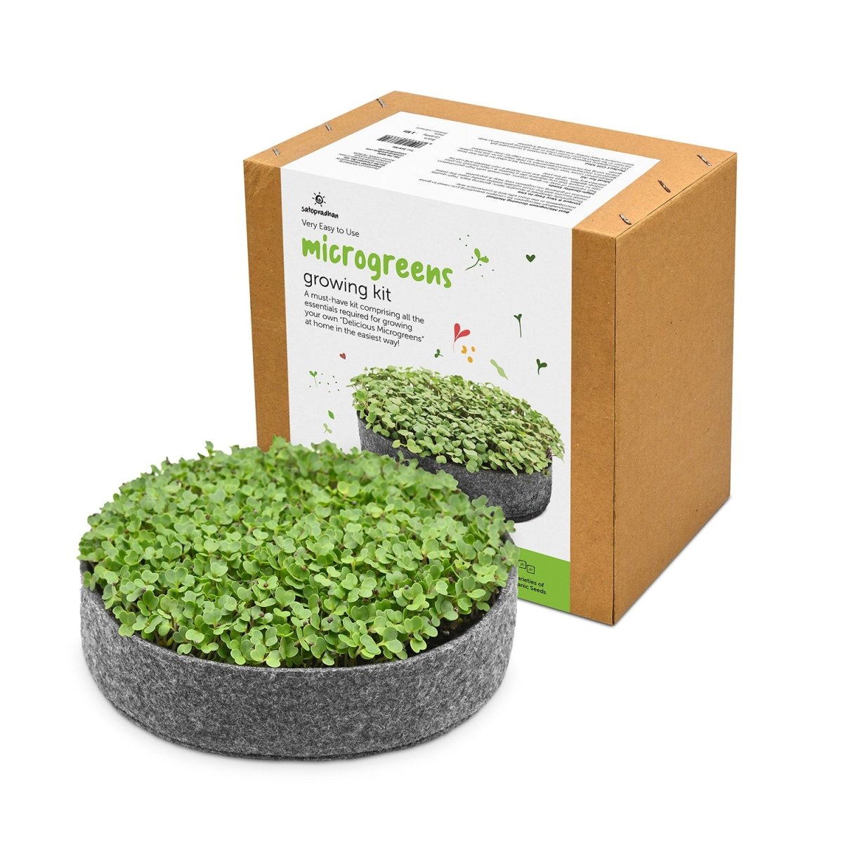 DIY Ready to Use Microgreen Growing Kit | Verified Sustainable by Brown Living™