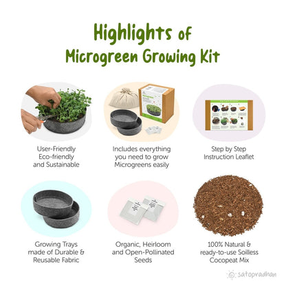 DIY Ready to Use Microgreen Growing Kit | Verified Sustainable by Brown Living™