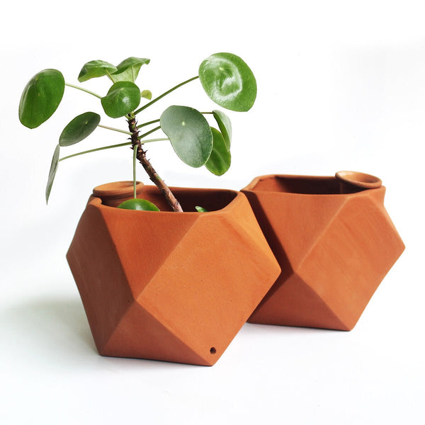 Buy D'MOND-1 Terracotta Planter with Deep Root Watering System Set of 2 | Shop Verified Sustainable Products on Brown Living