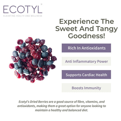 Dried Blueberries & Dried Cranberries Combo - 150g Each | Verified Sustainable by Brown Living™