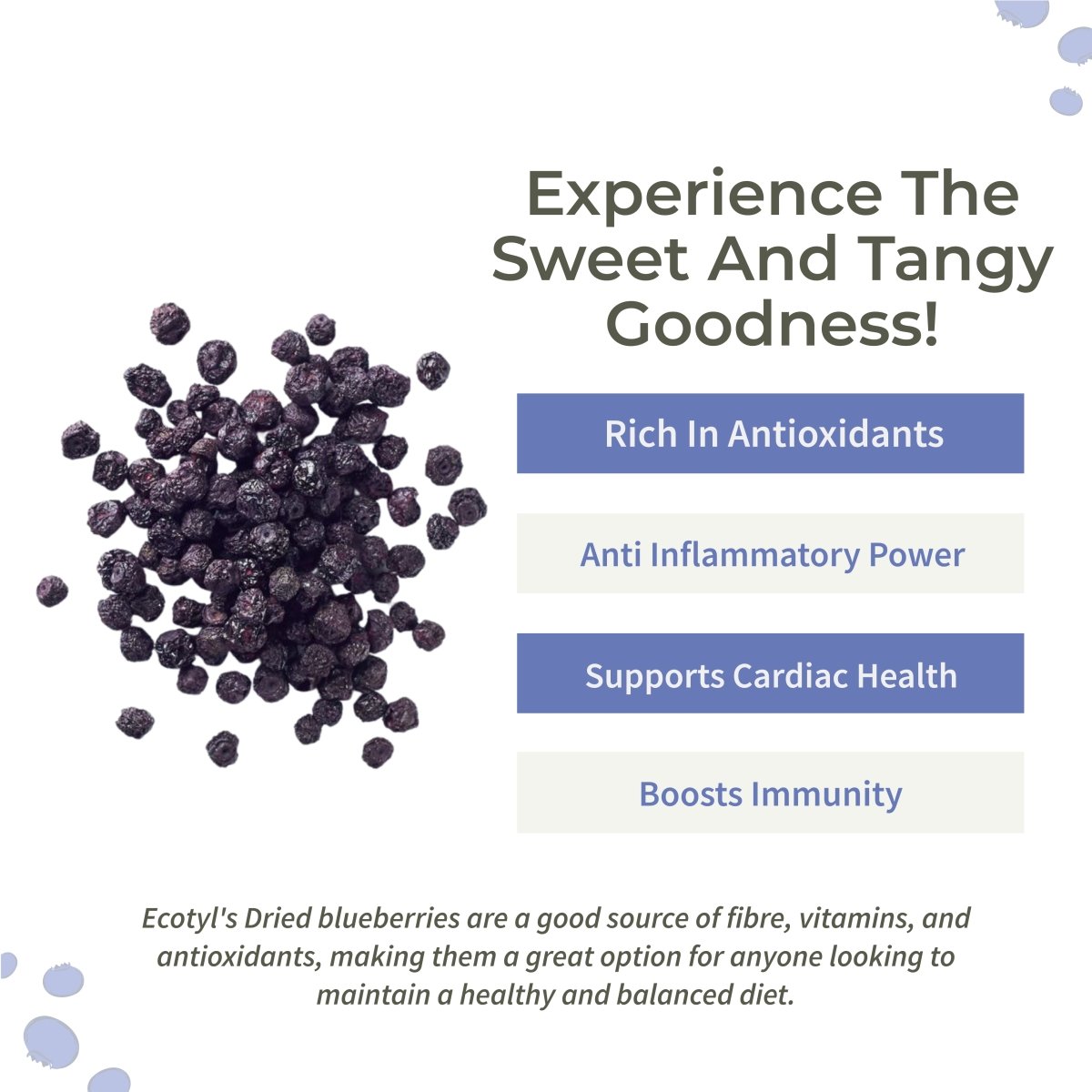 Dried Blueberries | Whole Dried Fruit | Healthy Snack |150g | Verified Sustainable by Brown Living™