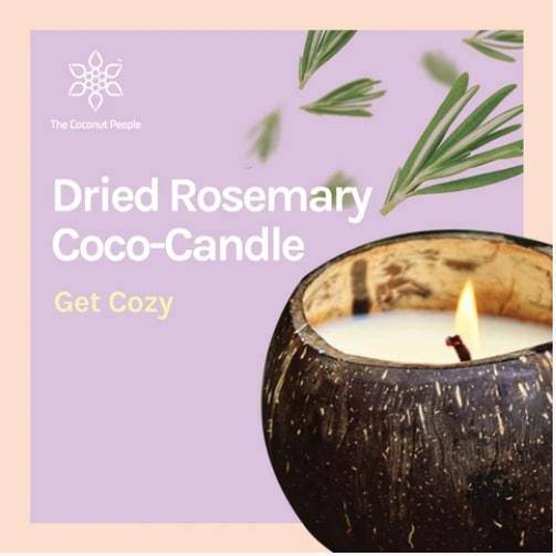 Buy Dried Rosemary Coco-Candle | Shop Verified Sustainable Candles & Fragrances on Brown Living™