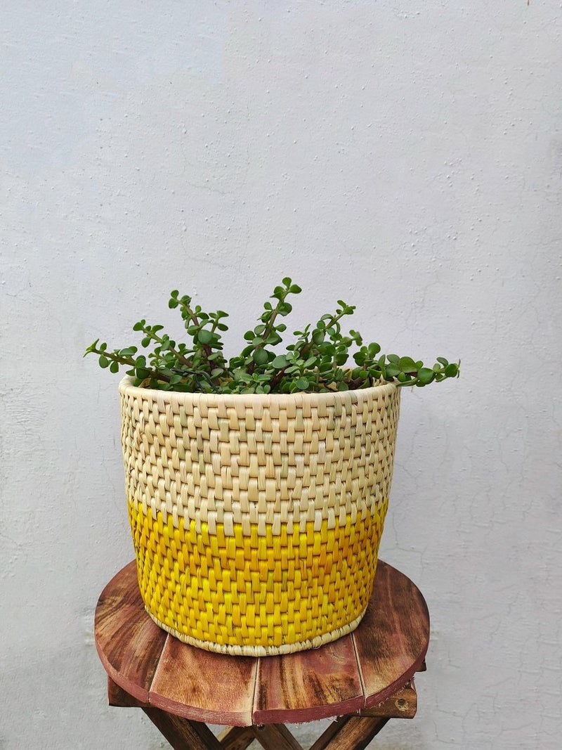 Buy Dual Color Moonj Grass Planter - Natural Golden & Yellow | Shop Verified Sustainable Pots & Planters on Brown Living™