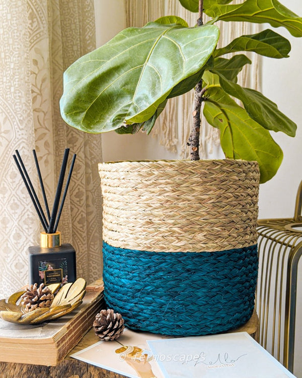 Buy Dual Color Sabai Grass Planter - Natural & Royal Blue | Shop Verified Sustainable Pots & Planters on Brown Living™