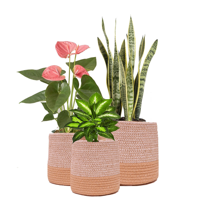 Dual Tone Jute Baskets - Medium (One Piece) | Verified Sustainable Baskets & Boxes on Brown Living™