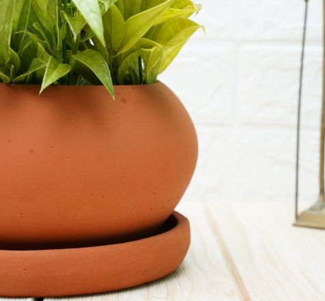 Buy Earthen Pot For Small Plants(Pack of 2) | Shop Verified Sustainable Products on Brown Living