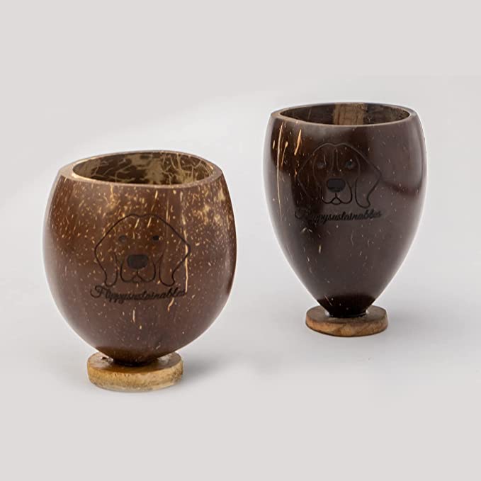 Buy Eco-Friendly & 100 % Natural Coconut Shot Glass (Small, set of 2) | Shop Verified Sustainable Glasses & Tumblers on Brown Living™