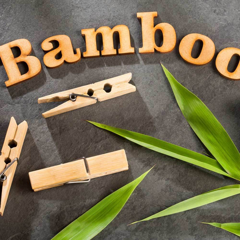 Buy Eco Friendly Bamboo Clothes Peg with Reusable Bag | Pack of 20 | Shop Verified Sustainable Organisers on Brown Living™