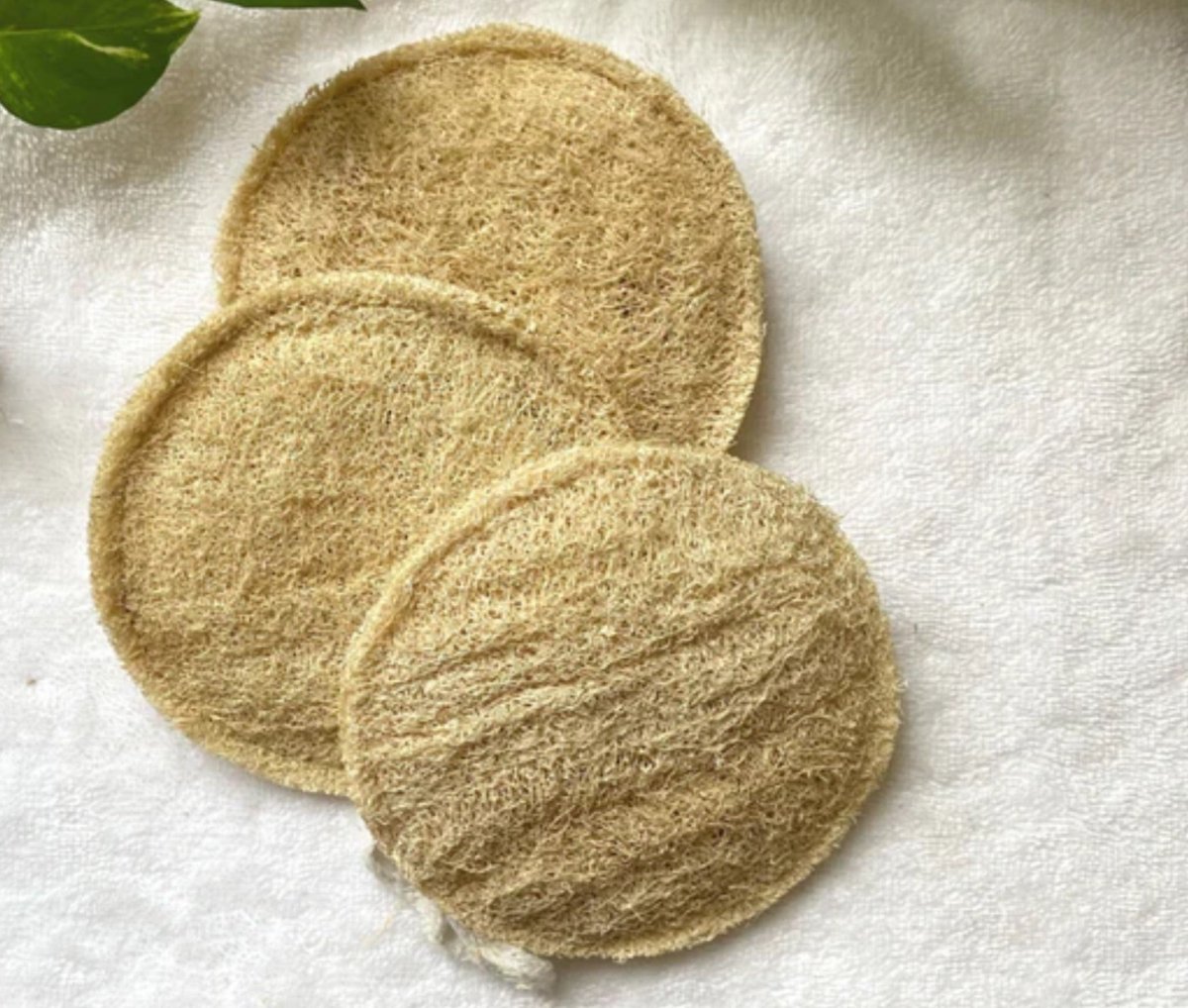 Eco Friendly Loofah for Bath- Round Shape by NATSBYTE – Brown Living™