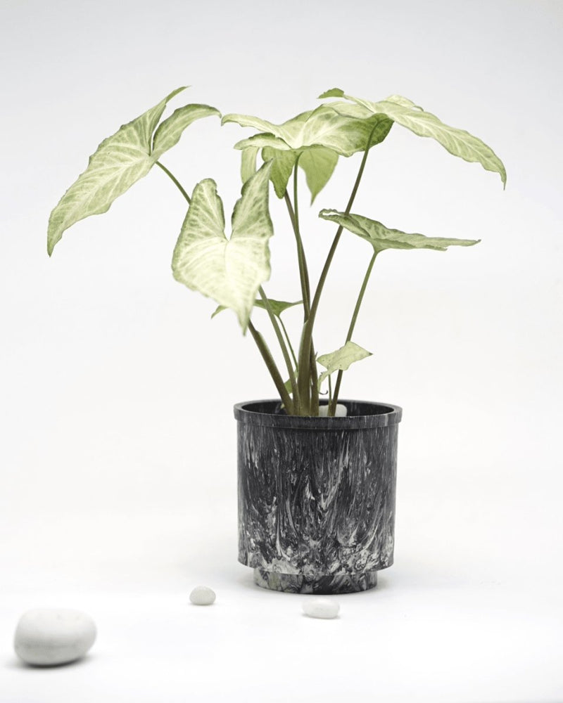 Buy Eco-Planter I Black Luxe I Recycled | Shop Verified Sustainable Pots & Planters on Brown Living™