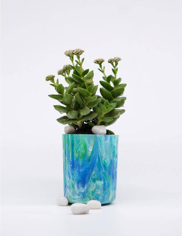 Buy EcoPots Planter- Aquamarine | Shop Verified Sustainable Products on Brown Living