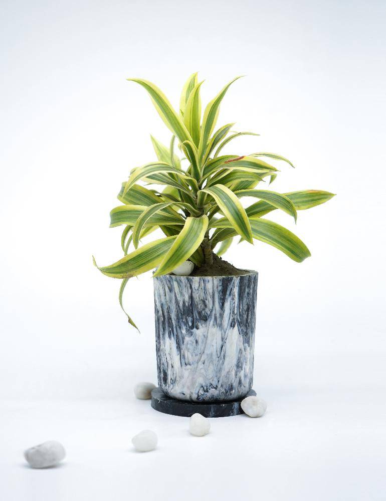 EcoPots (Planter) - Charcoal | Verified Sustainable by Brown Living™