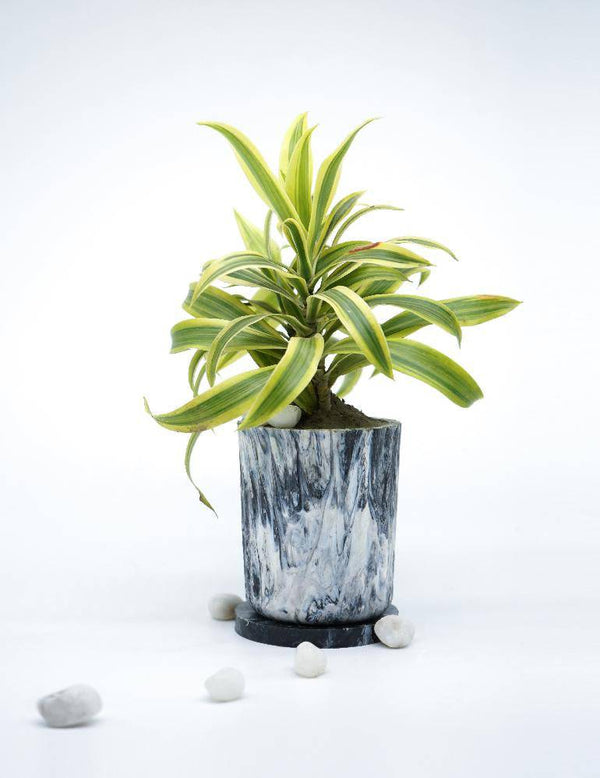 Buy EcoPots (Planter)- Charcoal | Shop Verified Sustainable Products on Brown Living