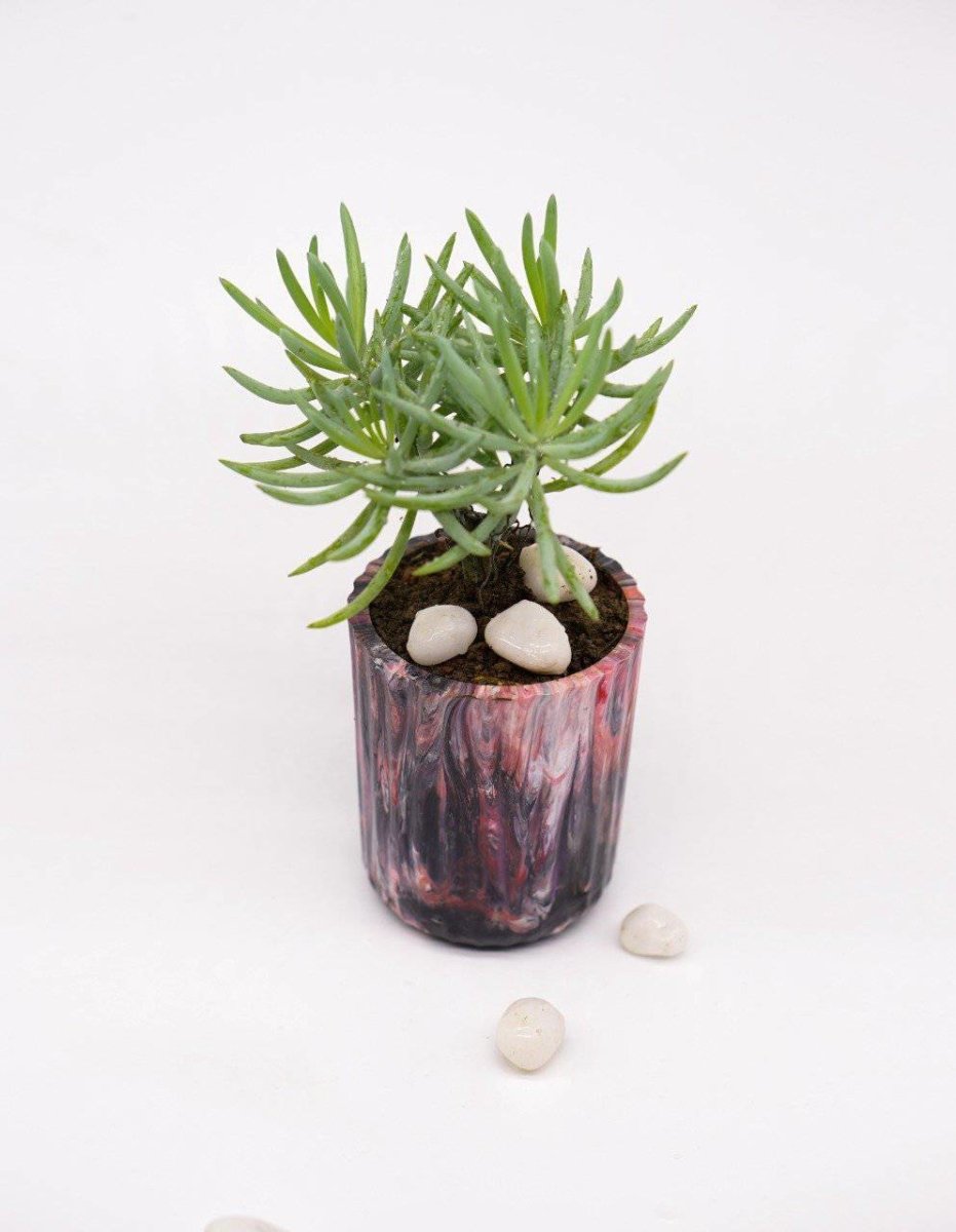 EcoPots Planter - Ciel | Verified Sustainable by Brown Living™