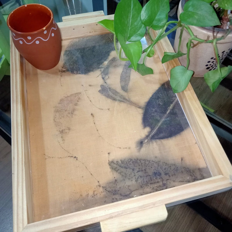 Buy Eucalyptus leaves Ecoprint Wooden Tray | Solid Pine Wood | Shop Verified Sustainable Products on Brown Living