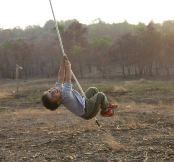 Buy Flying Saucer - Swings for serious fun! | Shop Verified Sustainable Products on Brown Living